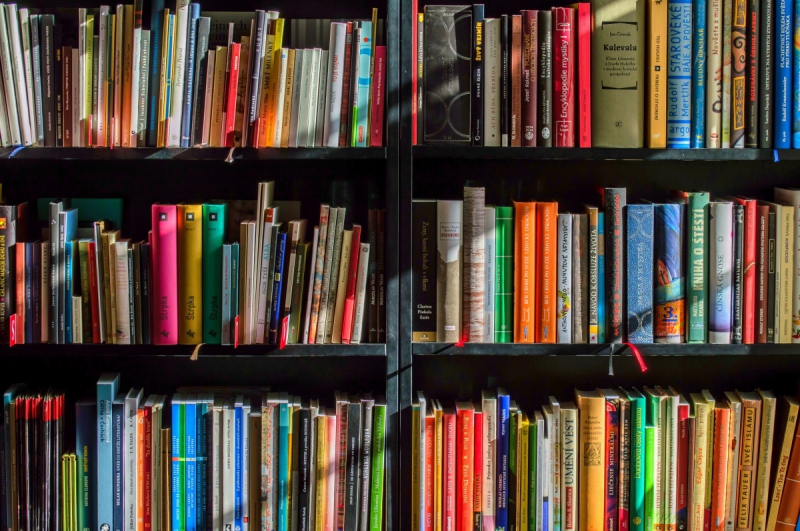 vitrine-DRAGUIGNAN-min_books_bookstore_book_reading_shop_writer_sale_books_read-822866