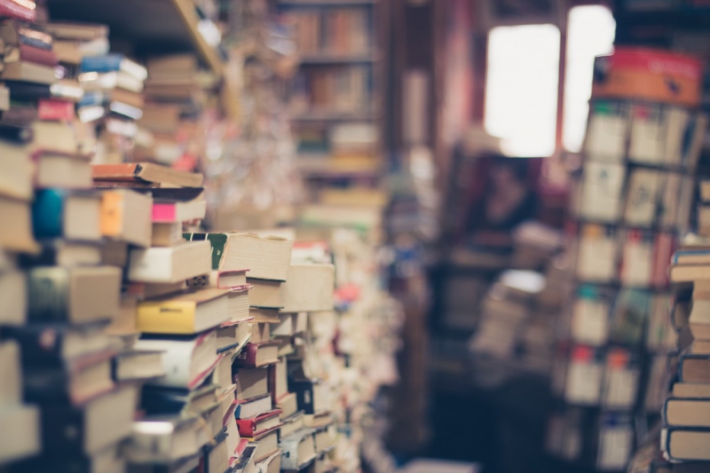 vitrine-DRAGUIGNAN-min_books_stack_book_store_stack_of_books_2nd_hand_retro_hipster_shop-829090